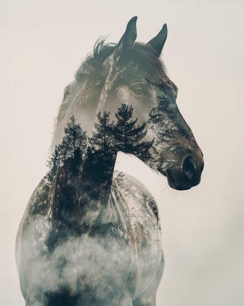 A horse doubled with the forest