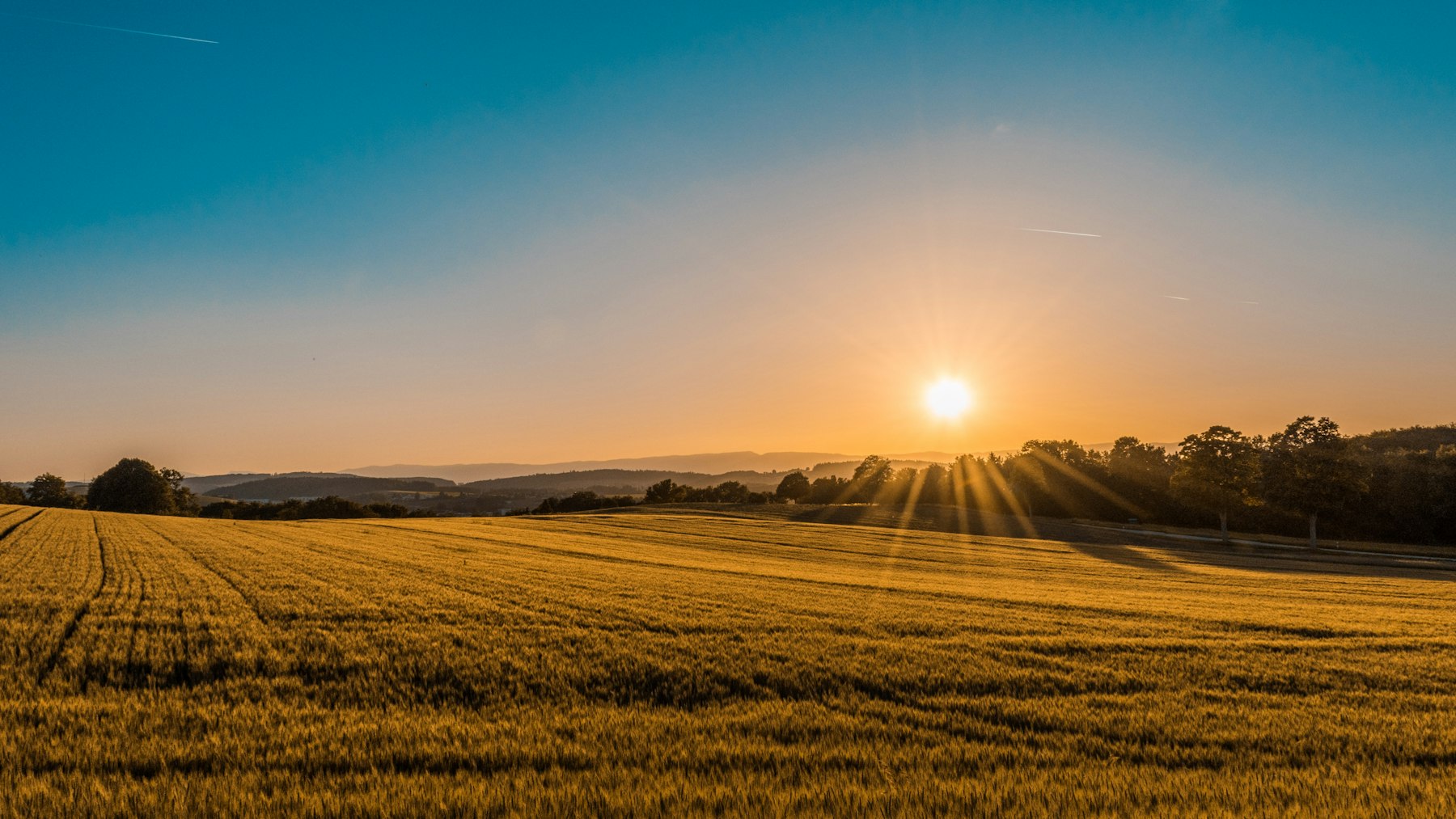 Country at last light, the going golden