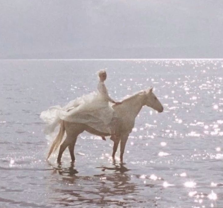 A rider in pale silk on a white horse through shallow water